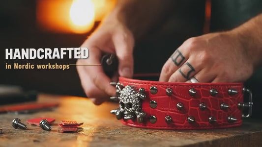 Tan Skull Studded Dog Collar